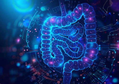 Alimentos aliados da sua saúde intestinal!