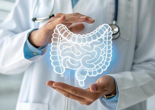 Como a microbiota intestinal conversa com o cérebro