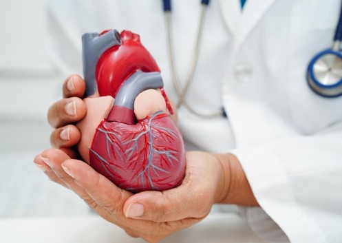 Dicas de alimentação para portadores de doenças cardiovasculares
