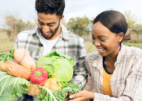 Por que consumir alimentos orgânicos?